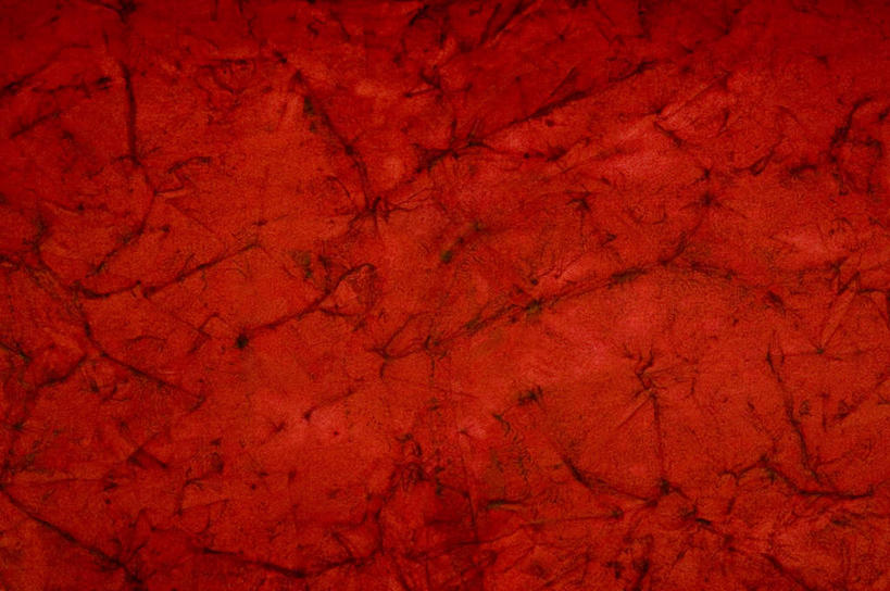 无人,横图,室内,特写,白天,正面,兴奋,热情,静物,阴影,花纹,反射,纹路,图案,纹理,影子,开放,红色,健康,温暖,奔放,活力,积极,激情,朝气,暖色,吉祥,生命,饱满,肌理,革命,热烈,赤色,充实,斗志,喜气,主动,彩图,欢乐