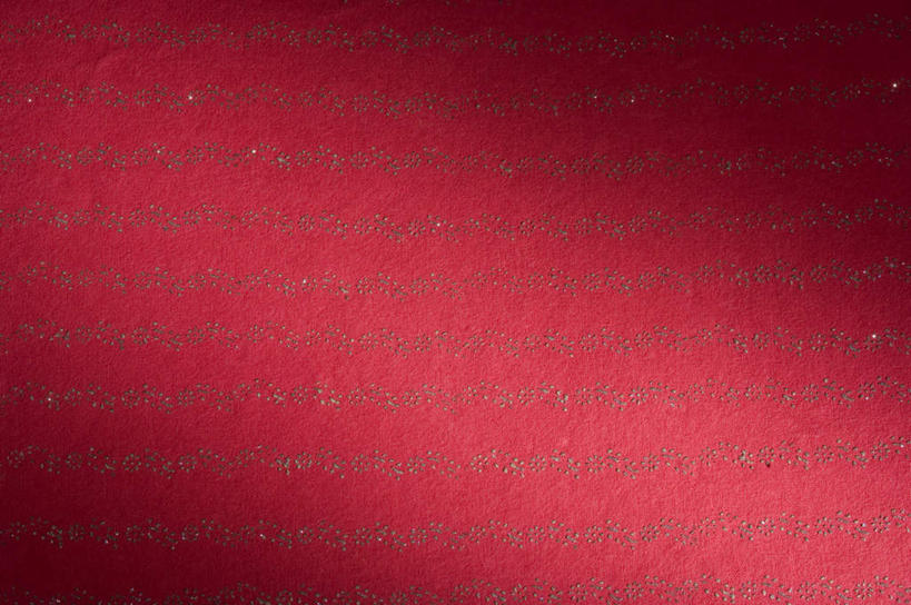 无人,横图,室内,特写,白天,正面,兴奋,热情,静物,阴影,花纹,条纹,反射,纹路,图案,纹理,影子,开放,红色,健康,温暖,奔放,活力,积极,激情,朝气,暖色,吉祥,生命,饱满,肌理,革命,热烈,赤色,充实,斗志,喜气,主动,彩图,欢乐