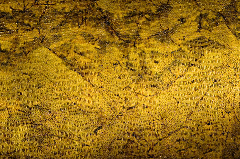 无人,横图,室内,特写,白天,正面,静物,阴影,花纹,透明,反射,纹路,图案,纹理,影子,辉煌,黄色,绿色,健康,活泼,希望,暖色,光辉,肌理,光明,功名,轻快,彩图