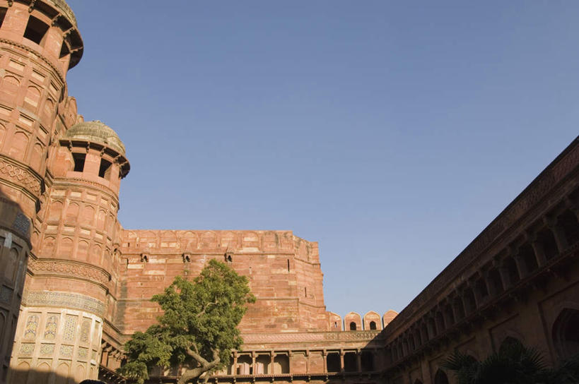 无人,宫殿,横图,室外,白天,仰视,旅游,度假,名胜古迹,植物,标志建筑,地标,建筑,印度,亚洲,阴影,遗迹,光线,影子,古迹,文物,娱乐,建设,古建筑,树,树木,蓝色,绿色,蓝天,天空,阳光,自然,天,享受,休闲,旅游胜地,放松,生长,晴朗,成长,古堡,南亚,古文明,万里无云,印度共和国,北方邦,阿格拉堡,阿格拉红堡,红堡,晴空,晴空万里,彩图,低角度拍摄
