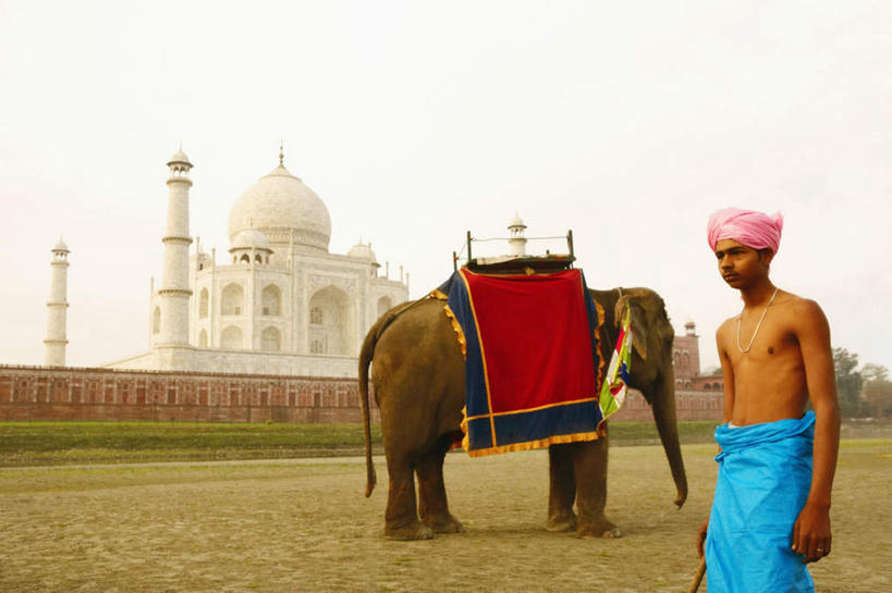 东方人,一个人,站,横图,室外,白天,正面,旅游,度假,草地,草坪,名胜古迹,植物,地标,大象,野生动物,泰姬陵,印度,亚洲,仅一个男性,仅一个人,遗迹,头巾,注视,黄种人,古迹,文物,娱乐,古建筑,裸露,草,仅一个年轻男性,粉色,绿色,蓝天,天空,动物,天,观察,看,站着,享受,休闲,旅游胜地,放松,可爱,活泼,观看,察看,陵墓,关注,南亚,裸,古文明,世界文化遗产,泰姬.马哈尔陵,伊斯兰建筑,泰姬玛哈,世界七大奇迹,男人,男性,年轻男性,亚洲人,印度人,站立,半身,彩图,标志性建筑