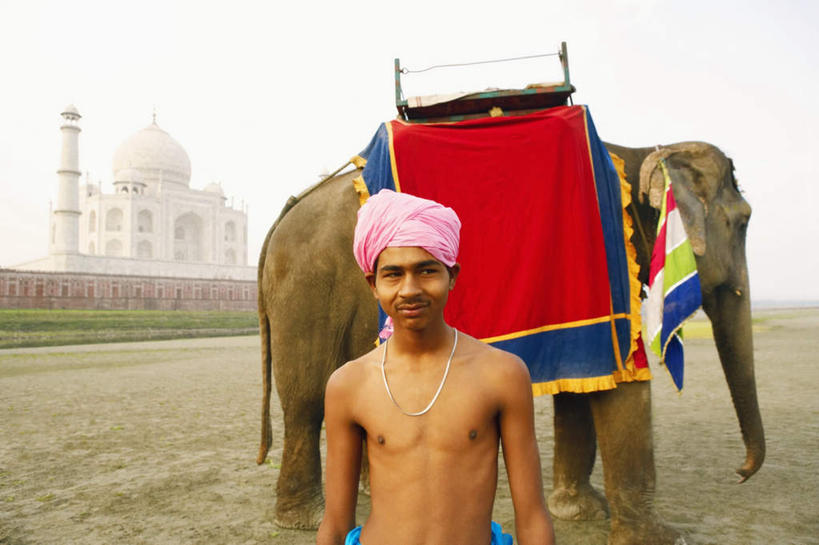 东方人,一个人,站,横图,室外,白天,正面,民族服装,旅游,度假,草地,草坪,名胜古迹,植物,地标,大象,野生动物,泰姬陵,印度,亚洲,仅一个男性,仅一个人,仅一个中年男性,遗迹,头巾,注视,黄种人,古迹,文物,娱乐,古建筑,裸露,草,粉色,绿色,蓝天,天空,动物,天,观察,看,站着,享受,休闲,旅游胜地,放松,可爱,活泼,观看,察看,陵墓,关注,南亚,裸,古文明,世界文化遗产,泰姬.马哈尔陵,伊斯兰建筑,泰姬玛哈,世界七大奇迹,男人,男性,中年男性,亚洲人,印度人,站立,半身,彩图,传统服装,民俗服,标志性建筑