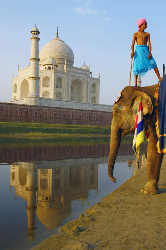 东方人,一个人,站,竖图,室外,白天,正面,民族服装,旅游,度假,草地,草坪,名胜古迹,植物,地标,大象,野生动物,泰姬陵,印度,亚洲,仅一个男性,仅一个人,遗迹,注视,黄种人,古迹,文物,娱乐,古建筑,裸露,草,仅一个年轻男性,绿色,倒影,蓝天,天空,动物,天,观察,看,站着,享受,休闲,旅游胜地,放松,可爱,活泼,观看,察看,陵墓,关注,南亚,裸,古文明,世界文化遗产,泰姬.马哈尔陵,伊斯兰建筑,泰姬玛哈,世界七大奇迹,男人,男性,年轻男性,亚洲人,印度人,站立,彩图,全身,传统服装,民俗服,标志性建筑