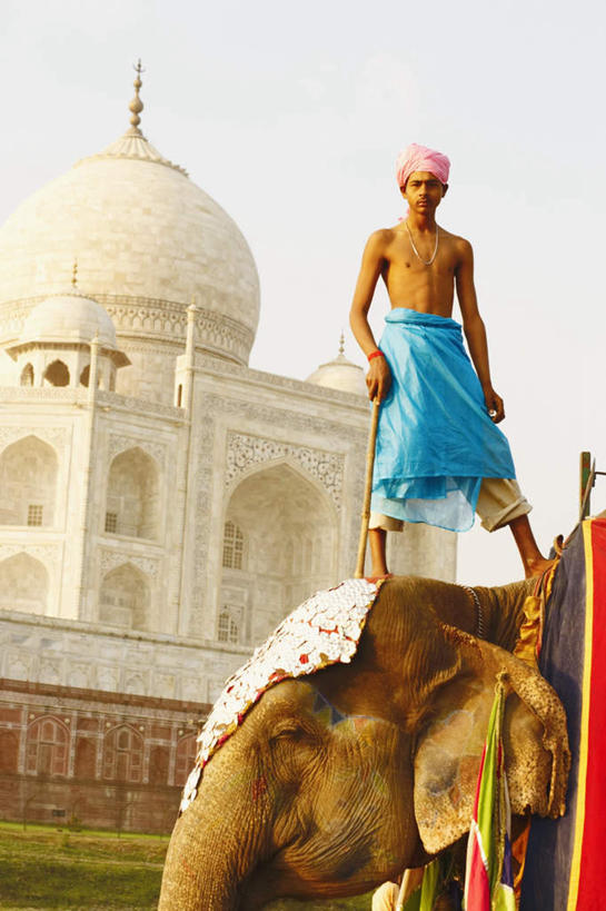 东方人,一个人,站,竖图,室外,白天,仰视,旅游,度假,草地,草坪,名胜古迹,植物,地标,大象,野生动物,泰姬陵,印度,亚洲,仅一个男性,仅一个人,遗迹,注视,黄种人,古迹,文物,娱乐,古建筑,草,仅一个年轻男性,绿色,倒影,蓝天,天空,动物,天,观察,看,站着,享受,休闲,旅游胜地,放松,可爱,活泼,观看,察看,陵墓,关注,南亚,古文明,世界文化遗产,泰姬.马哈尔陵,伊斯兰建筑,泰姬玛哈,世界七大奇迹,男人,男性,年轻男性,亚洲人,印度人,站立,彩图,低角度拍摄,全身,标志性建筑