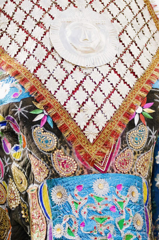 头,无人,竖图,彩色,室外,特写,白天,正面,抽象,绘画,大象,野生动物,纺织品,花纹,艺术,装饰,彩绘,毛毯,毯子,图案,手工制品,艺术品,古典,图像,文化,动物,工艺品,品味,概念,可爱,活泼,华丽,修饰,美术,点缀,高雅,凶猛,美学,衬托,美观,雅致,雅观,构图,式样,图文,头部,半身,彩图,涂鸦