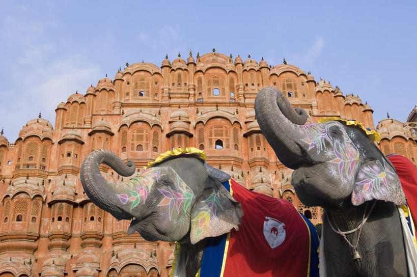 无人,站,横图,彩色,室外,白天,抽象,仰视,旅游,度假,绘画,名胜古迹,标志建筑,地标,建筑,大象,野生动物,纺织品,印度,亚洲,一头,阴影,花纹,遗迹,艺术,光线,彩绘,毛毯,毯子,图案,影子,手工制品,云,云朵,艺术品,古典,图像,云彩,注视,古迹,文化,文物,娱乐,建设,古建筑,蓝色,白云,蓝天,天空,阳光,动物,工艺品,天,观察,看,品味,站着,享受,休闲,概念,旅游胜地,放松,可爱,活泼,晴朗,观看,美术,察看,高雅,关注,南亚,凶猛,古文明,首府,拉贾斯坦邦,拉贾斯坦,印度共和国,风宫,美学,构图,红粉之城,斋普尔,式样,图文,风之宫殿,晴空,站立,半身,彩图,低角度拍摄,涂鸦