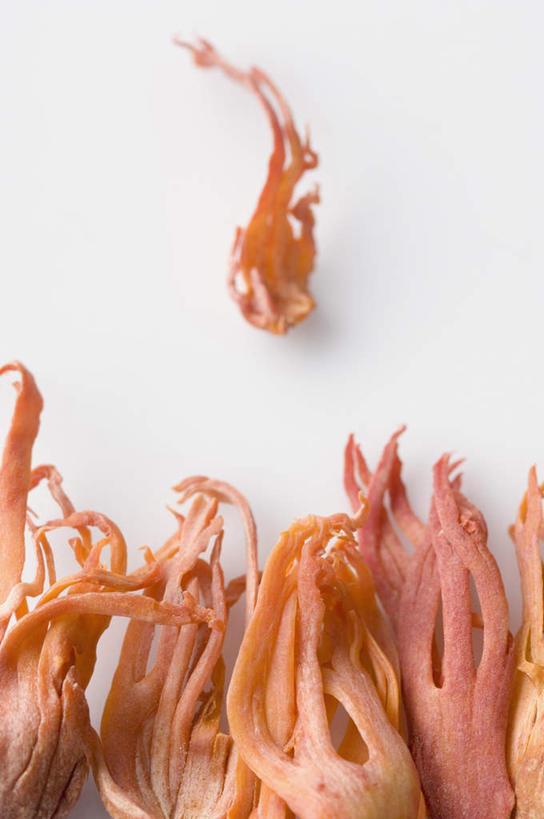 无人,竖图,俯视,室内,特写,白天,白色背景,植物,许多,干燥,香料,草药,药草,晒干,调味料,中药,排列,摄影,影棚,肉豆蔻,药材,中草药,肉蔻,肉果,玉果,中药材,本草,摆列,消食,彩图,高角度拍摄,影棚拍摄,拍摄,布列,分列