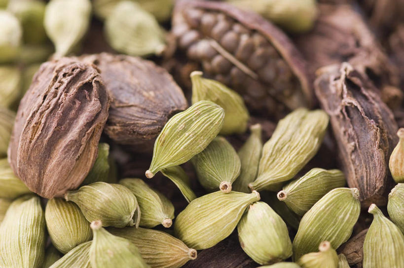 无人,横图,俯视,室内,特写,白天,植物,一堆,许多,阴影,堆叠,堆积,朦胧,模糊,反射,影子,香料,草药,药草,中药,摄影,影棚,堆,肉豆蔻,小豆蔻,药材,中草药,肉蔻,肉果,玉果,中药材,本草,消食,彩图,高角度拍摄,影棚拍摄,拍摄