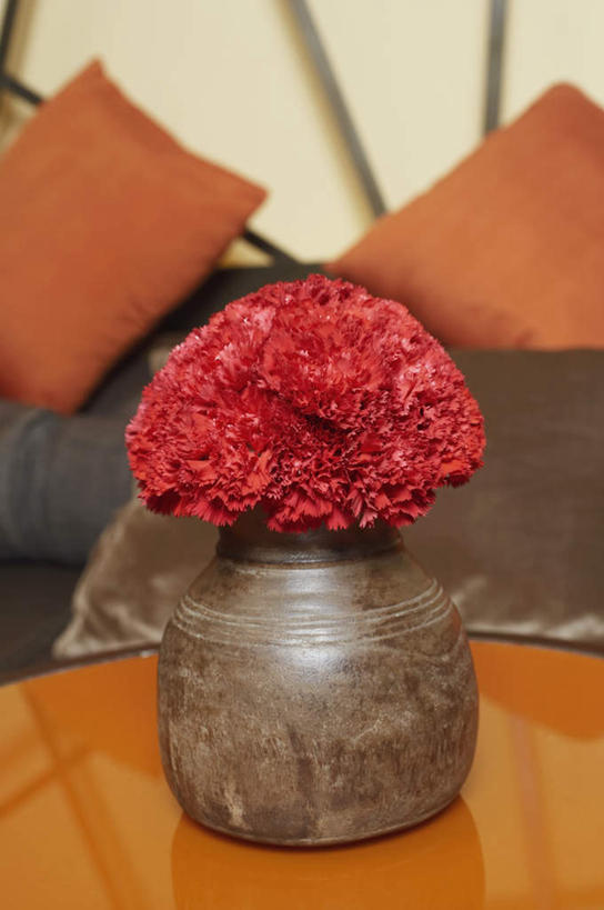 无人,客厅,竖图,室内,白天,正面,爱情,幸福,纯洁,智慧,热情,靠垫,沙发,桌子,玫瑰,花瓶,艺术,盛开,木制,陶瓷,玫瑰花,靠枕,陶瓷制品,浪漫,花蕾,茶几,文化,花,花瓣,花朵,鲜花,插花,木制品,瓶子,抱枕,枕头,花苞,花蕊,温暖,温馨,恩爱,插花艺术,和睦,创造,起居室,创作,感动,想象,布艺沙发,尊敬,客堂,天真,刺玫花,徘徊花,彩图,融洽