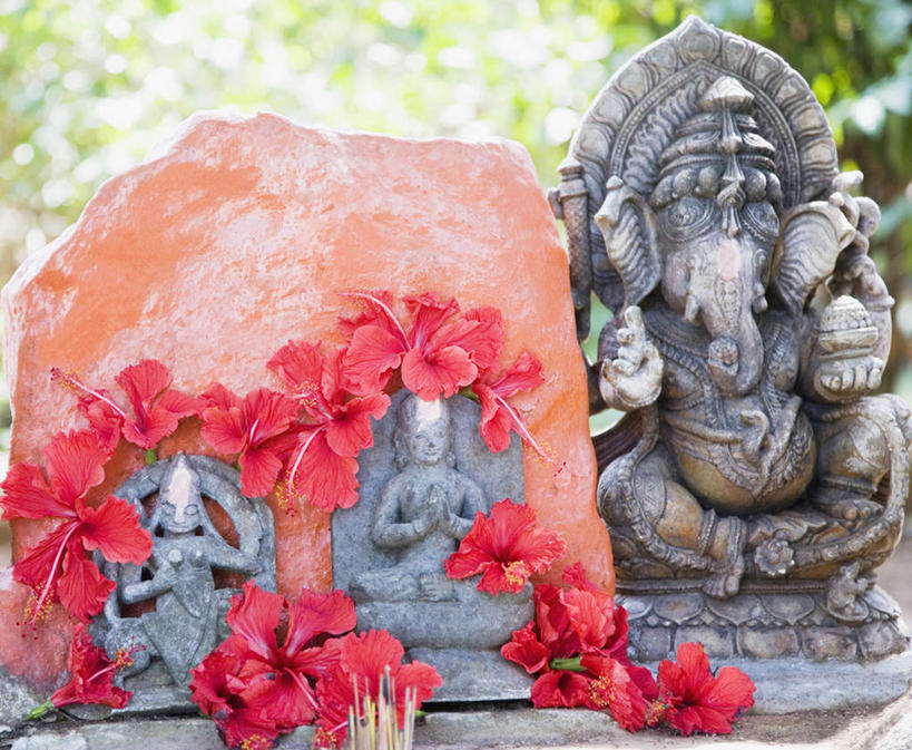 无人,横图,室外,白天,正面,静物,印度,盛开,佛像,神像,花蕾,文化,传统,花,花瓣,花朵,鲜花,花苞,花蕊,宗教,信仰,印度文化,彩图