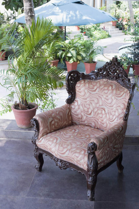 无人,竖图,俯视,室内,白天,植物,沙发,叶子,椅子,盆栽,伞,绿叶,盆景,绿色,自然,嫩叶,生长,成长,叶,叶片,彩图,高角度拍摄,皮沙发