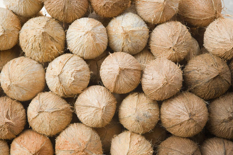 无人,横图,俯视,室外,特写,白天,椰子,水果,一堆,许多,堆叠,堆积,新鲜,生食,食品,果实,食物,有机食品,绿色食品,堆,大椰,胥余,椰瓢,越王头,彩图,高角度拍摄