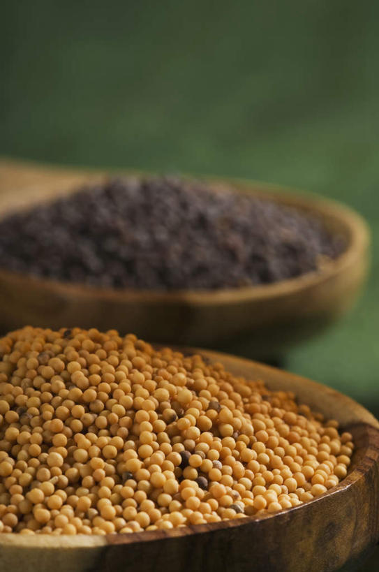 芥末,无人,竖图,室内,特写,白天,正面,许多,绿色背景,阴影,堆叠,朦胧,模糊,木勺,影子,勺子,调料,香料,调味品,调羹,汤匙,摄影,影棚,堆,山葵,泽山葵,溪山葵,芥子末,山嵛菜,芥辣粉,哇沙比,辣根,彩图,影棚拍摄,拍摄