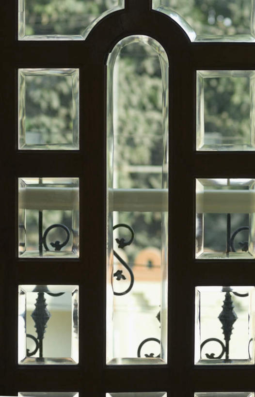 无人,竖图,室内,特写,白天,正面,度假,美景,树林,植物,窗户,落地窗,城市风光,城市,印度,亚洲,阴影,花纹,朦胧,模糊,光线,影子,景观,文化,娱乐,玻璃窗,树,树木,绿色,阳光,自然,享受,休闲,景色,放松,生长,成长,南亚,印度共和国,比哈尔邦,彩图