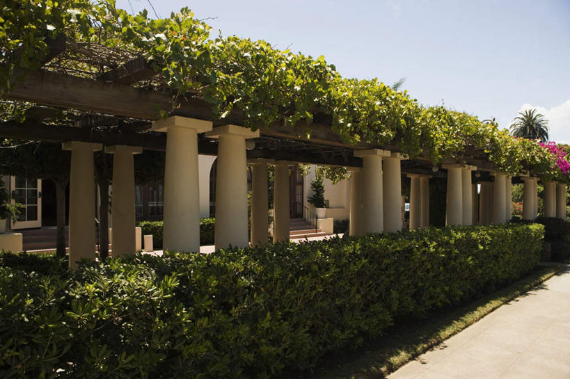 无人,横图,室外,白天,正面,旅游,度假,植物,叶子,美国,阴影,光线,影子,柱子,走道,走廊,过道,长春藤,常春藤,绿叶,娱乐,树,树木,蓝色,绿色,蓝天,天空,阳光,自然,天,享受,休闲,嫩叶,放松,生长,晴朗,成长,北美,北美洲,加利福尼亚,美洲,加州,圣地亚哥,加利福尼亚州,万里无云,金州,黄金州,圣地牙哥,圣迭戈,永恒,北亚美利加洲,亚美利加洲,不朽,忠实,洋常春藤,拉霍亚,叶,叶片,晴空,晴空万里,彩图,常青藤