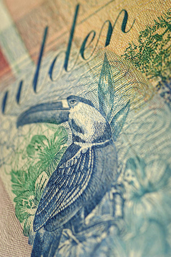 无人,竖图,俯视,室内,特写,白天,钱,鸟,鹦鹉,静物,一排,许多,整齐,鸟类,钱币,排列,一只,动物,可爱,钞票,金融,纸币,活泼,经济,堆,金刚鹦鹉,队列,流通,纸钞,贸易,观赏鸟,货币,现金,彩图,高角度拍摄,全身