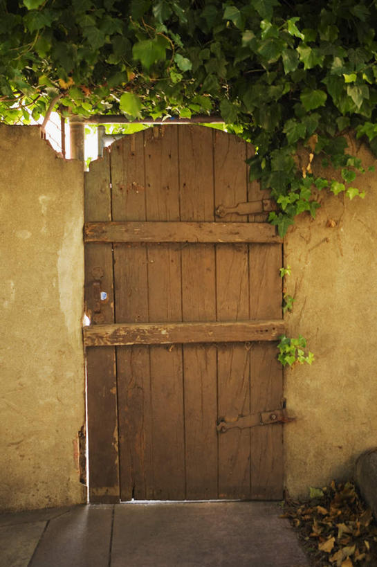 无人,家,竖图,室内,白天,正面,旅游,度假,门,城市,叶子,美国,房屋,屋子,绿叶,娱乐,楼房,住宅,门框,享受,休闲,嫩叶,放松,北美,北美洲,加利福尼亚,美洲,旧金山,加州,加利福尼亚州,圣弗朗西斯科,三藩市,金州,黄金州,北亚美利加洲,亚美利加洲,叶,叶片,彩图,房子