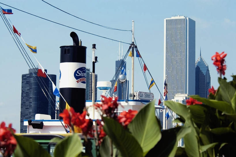 无人,高楼大厦,码头,横图,室外,白天,正面,度假,办公楼,美景,城市风光,城市,大厦,港口,建筑,摩天大楼,写字楼,旗帜,叶子,美国,阴影,盛开,光线,影子,景观,绿叶,花蕾,娱乐,旗子,花,花瓣,花朵,鲜花,红色,蓝色,蓝天,天空,阳光,楼宇,天,花苞,花蕊,享受,休闲,嫩叶,商务楼,景色,放松,晴朗,北美,北美洲,美洲,伊利诺斯州,芝加哥,万里无云,世界屠猪城,巨肩之城,劳动之城,伊利诺伊,伊利诺伊州,伊利诺州,芝加哥市,芝城,林肯之地,美人蕉,兰蕉,大花美人蕉,红艳蕉,北亚美利加洲,亚美利加洲,旌旗,旗号,海军码头,海军军港,海军港,叶,叶片,晴空,晴空万里,彩图,摆渡口,埠头,大楼,渡口,渡头,港湾,高层建筑,高楼,海港,货运码头,口岸,摩天楼,商港