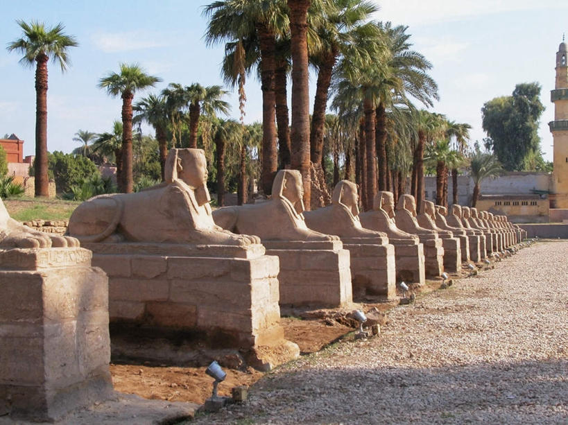 无人,横图,室外,白天,正面,仰视,旅游,度假,名胜古迹,植物,道路,地标,路,棕榈树,叶子,雕塑,非洲,埃及,一排,遗迹,艺术,整齐,装饰,雕刻,雕像,小路,绿叶,神庙,交通,古迹,历史,文物,娱乐,古建筑,树,树木,排列,蓝色,绿色,蓝天,天空,自然,工艺品,天,享受,休闲,嫩叶,旅游胜地,放松,生长,晴朗,成长,纪念,美术,神殿,古埃及,狮身人面像,队列,主题,陈列,古文明,北非,棕榈叶,万里无云,卢克索神庙,路克索神殿,鲁克索神殿,古代七大奇迹,阿拉伯埃及共和国,金字塔之国,棉花之国,功能,美学,阿非利加洲,斯芬克斯,叶,叶片,晴空,晴空万里,半身,彩图,低角度拍摄,标志性建筑