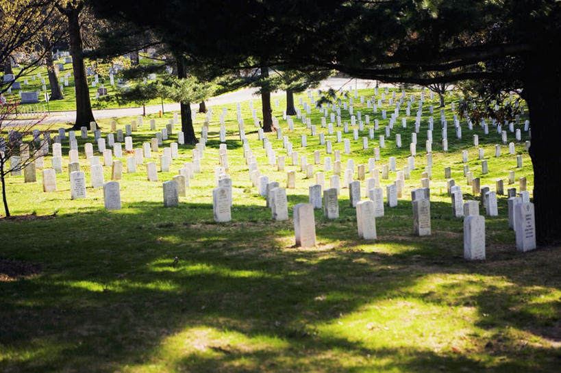 无人,横图,室外,白天,正面,旅游,度假,草地,草坪,名胜古迹,植物,标志建筑,地标,建筑,美国,一排,许多,阴影,遗迹,整齐,光线,影子,古迹,文物,娱乐,建设,古建筑,草,树,树木,排列,绿色,阳光,自然,墓碑,享受,休闲,公墓,旅游胜地,放松,生长,成长,北美洲,队列,美洲,古文明,弗吉尼亚,弗吉尼亚州,阿灵顿国家公墓,阿灵顿,北亚美利加洲,亚美利加洲,维吉尼亚,老自治领州,阿灵顿县,阿灵顿公墓,彩图