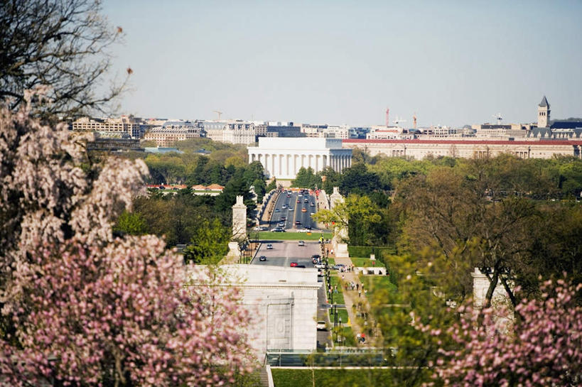 无人,横图,俯视,室外,白天,旅游,度假,幸福,纯洁,美景,树林,植物,樱花,美国,阴影,盛开,光线,影子,地平线,景观,辽阔,地面,花蕾,娱乐,花,花瓣,花朵,鲜花,树,树木,蓝色,绿色,蓝天,天空,阳光,自然,天,花苞,花蕊,享受,休闲,广阔,公墓,景色,放松,生长,晴朗,成长,等待,一望无际,北美洲,生命,自然风光,延伸,美洲,万里无云,弗吉尼亚,弗吉尼亚州,阿灵顿国家公墓,阿灵顿,天地相交,北亚美利加洲,亚美利加洲,维吉尼亚,老自治领州,仙樱花,福岛樱,青肤樱,高尚,热烈,阿灵顿县,无边无际,一马平川,阿灵顿公墓,晴空,晴空万里,荆桃,彩图,高角度拍摄