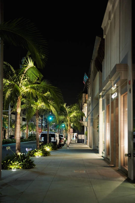无人,商店,竖图,室外,夜晚,正面,度假,美景,植物,城市风光,城市,路灯,棕榈树,叶子,照明,美国,阴影,光线,影子,景观,灯光,绿叶,娱乐,商铺,灯,树,树木,绿色,自然,享受,休闲,嫩叶,景色,放松,生长,成长,照亮,北美,北美洲,照明设备,加利福尼亚,美洲,棕榈叶,加州,洛杉矶,加利福尼亚州,金州,黄金州,北亚美利加洲,亚美利加洲,市肆,商号,贝弗利山,比华利山,天使之城,叶,叶片,彩图,店铺