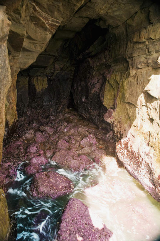 无人,竖图,室外,白天,正面,旅游,度假,石头,美景,美国,阴影,光线,石子,影子,洞,景观,娱乐,阳光,自然,享受,休闲,景色,放松,洞穴,北美,北美洲,加利福尼亚,自然风光,美洲,加州,圣地亚哥,加利福尼亚州,穴,金州,黄金州,圣地牙哥,圣迭戈,北亚美利加洲,亚美利加洲,石块,岩石,彩图