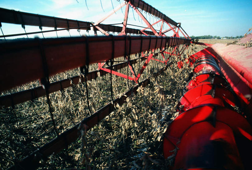 无人,农田,横图,室外,白天,正面,旅游,度假,庄稼,农作物,收割,美景,美国,阴影,丰富,丰收,光线,工具,影子,景观,云,云朵,丰盛,云彩,娱乐,蓝色,白云,蓝天,天空,阳光,自然,天,享受,休闲,景色,放松,晴朗,北美,北美洲,自然风光,美洲,收割机,农具,马里兰州,自由之州,战线之州,马里兰,北亚美利加洲,亚美利加洲,小美国,丰登,丰硕,脱粒,晴空,彩图,耕地,庄稼田