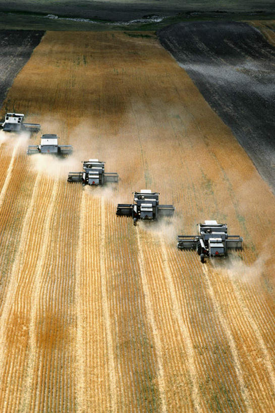 无人,农田,竖图,俯视,航拍,室外,白天,旅游,度假,庄稼,农作物,收割,小麦,美景,美国,一排,阴影,丰富,丰收,整齐,光线,工具,影子,景观,谷物,丰盛,麦田,娱乐,排列,阳光,自然,驾驶,行驶,享受,休闲,景色,放松,麦子,操纵,控制,北美,北美洲,鸟瞰,队列,自然风光,美洲,收割机,操控,农具,怀俄明州,怀俄明,五辆,北亚美利加洲,亚美利加洲,把持,平等之州,丰登,丰硕,脱粒,彩图,高角度拍摄,耕地,庄稼田