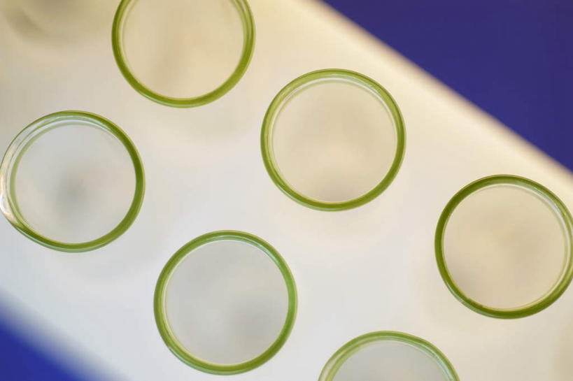 无人,横图,俯视,室内,特写,白天,实验,杯子,一排,许多,阴影,蓝色背景,朦胧,模糊,研究,整齐,反射,分析,化学,测试,试管,试管架,影子,架子,玻璃制品,排列,玻璃瓶,瓶子,摄影,影棚,队列,试验耗材,实验用品,玻璃杯,彩图,高角度拍摄,影棚拍摄,拍摄