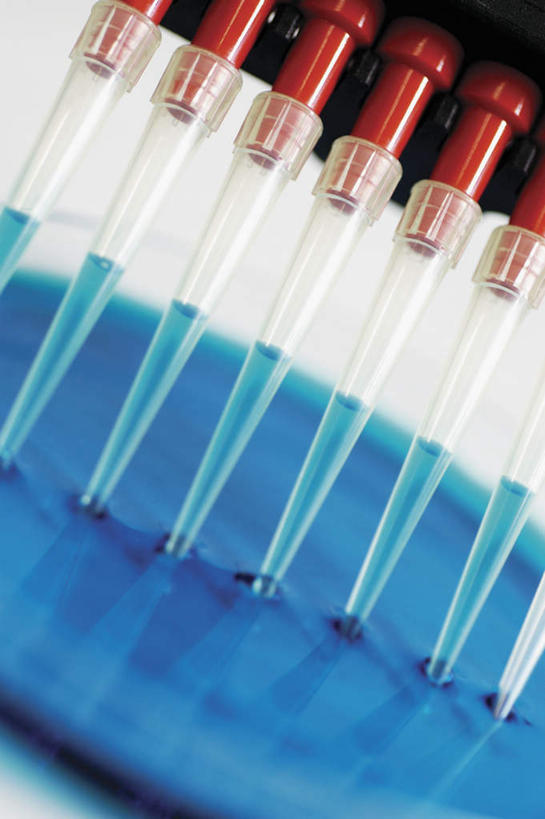 无人,竖图,室内,特写,白天,正面,实验,仪器,静物,一排,许多,阴影,蓝色背景,朦胧,模糊,研究,整齐,透明,反射,分析,化学,测试,滴管,影子,玻璃制品,排列,器皿,摄影,影棚,队列,计量,玻璃仪器,试验耗材,实验用品,吸液管,移液管,彩图,影棚拍摄,拍摄