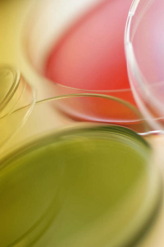 无人,竖图,俯视,室内,特写,白天,实验,研发,仪器,朦胧,模糊,研究,分析,科学,化学,测试,培养皿,液体,实验室,研究室,粉色,绿色,四个,器皿,生物,科研,化验,检验,研究所,皮氏培养皿,试验耗材,实验用品,化学器材,化验室,检验室,彩图,高角度拍摄