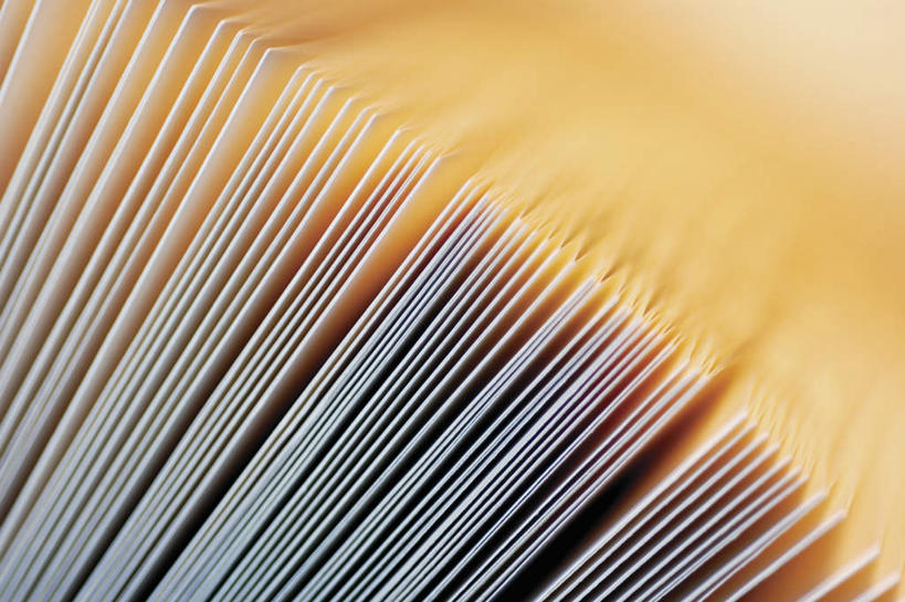 无人,横图,俯视,室内,特写,白天,静物,一排,许多,阴影,朦胧,模糊,整齐,反射,材料,档案,文件,影子,纸,很多,排列,手稿,资料,证明,队列,文档,彩图,高角度拍摄