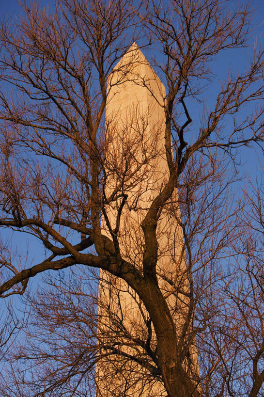 无人,竖图,室外,白天,仰视,旅游,度假,名胜古迹,日落,植物,标志建筑,地标,建筑,美国,遗迹,晚霞,霞光,落日,纪念碑,纪念馆,枝条,首都,古迹,文物,娱乐,建设,古建筑,树,树木,树枝,黄昏,享受,休闲,旅游胜地,彩霞,放松,北美,北美洲,美洲,古文明,华盛顿特区,华盛顿纪念碑,华盛顿哥伦比亚特区,华府,华盛顿纪念塔,北亚美利加洲,亚美利加洲,夕照,虬枝,枝杈,夕阳,彩图,低角度拍摄,斜阳