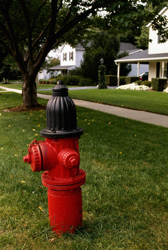 无人,家,竖图,室外,白天,正面,度假,安全,草地,草坪,美景,植物,城市风光,城市,道路,路,消防栓,美国,阴影,光线,影子,房屋,屋子,景观,公寓,小路,交通,娱乐,洋房,楼房,住宅,草,树,树木,红色,绿色,阳光,自然,享受,休闲,景色,放松,生长,成长,消防,北美,北美洲,美洲,灭火,马里兰州,自由之州,战线之州,马里兰,北亚美利加洲,亚美利加洲,消防器材,小美国,彩图,房子