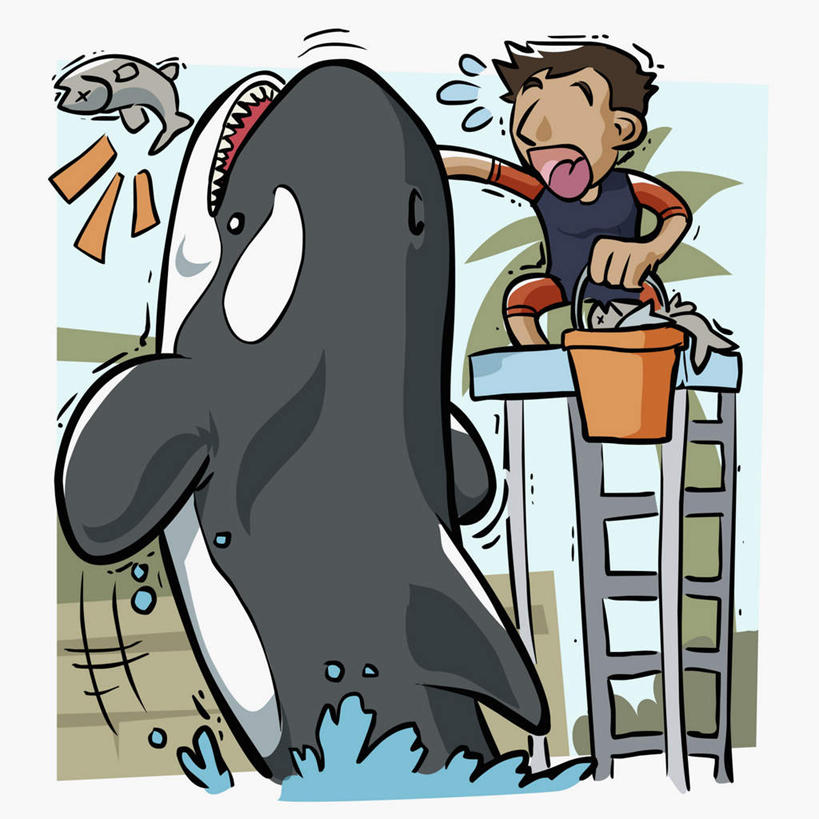 海鲜,西方人,一个人,无人,动物园,站,跳,攀登,方图,插画,室内,白天,白色背景,正面,工作服,制服,数码,科技,哺乳动物,鲸鱼,金属制品,欧洲,欧洲人,仅一个男性,仅一个人,一条,咬,阴影,网络,金属,鱼,梯子,桶,塑料,阶梯,高光,几何,计算机图形,合成,图画,拎,注视,水产,鱼类,海洋生物,画,仅一个年轻男性,动物,容器,塑料制品,观察,看,站着,张嘴,爬,鲸,观看,上升,储藏,害怕,幽默,塑料桶,电脑合成图,数码合成图,咬着,察看,合成图,不测,储存,胆怯,关注,意外,水生动物,海产品,诙谐,水生物,漫画,张大嘴巴,海底动物,写实,具体,具象,登高,畏惧,鲸类,工作制服,风趣,驯兽师,男人,男性,年轻男性,白种人,张开嘴,攀爬,跳跃,站立,彩图,全身,工作套服,贮存,拎着