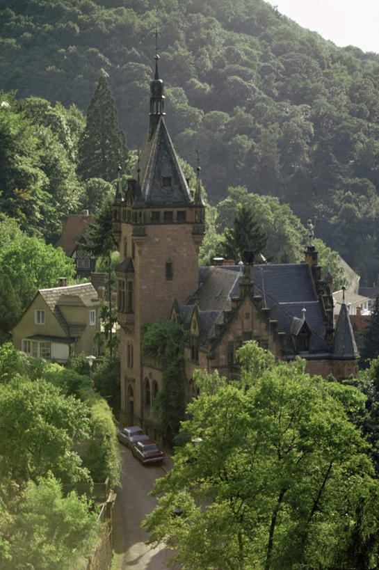 无人,家,竖图,俯视,室外,白天,旅游,度假,名胜古迹,森林,树林,植物,别墅,标志建筑,道路,地标,建筑,路,德国,欧洲,阴影,遗迹,光线,影子,堡垒,城堡,房屋,屋子,公寓,小路,交通,古迹,文物,娱乐,建设,古建筑,洋房,楼房,住宅,树,树木,绿色,阳光,自然,享受,休闲,旅游胜地,放松,生长,成长,西欧,要塞,古文明,德意志联邦共和国,海德堡,设防,彩图,高角度拍摄,房子