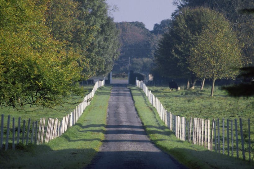 无人,栏杆,横图,室外,白天,正面,旅游,度假,草地,草坪,美景,植物,道路,路,爱尔兰,欧洲,阴影,光线,影子,栅栏,景观,篱笆,围栏,小路,交通,娱乐,护栏,草,树,树木,蓝色,绿色,蓝天,天空,阳光,自然,天,享受,休闲,景色,放松,生长,晴朗,成长,西欧,自然风光,芒斯特省,万里无云,爱尔兰共和国,克莱尔郡,芒斯特,晴空,晴空万里,彩图