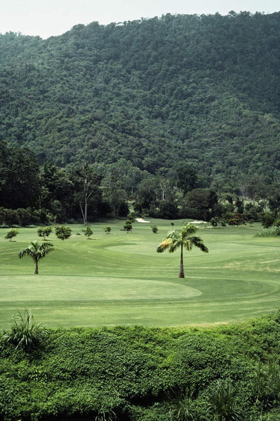 无人,竖图,室外,白天,正面,旅游,度假,草地,草坪,美景,山,山脉,树林,植物,棕榈树,叶子,加勒比海,景观,山峰,绿叶,山峦,娱乐,草,树,树木,蓝色,绿色,蓝天,天空,自然,群山,天,享受,休闲,嫩叶,景色,放松,生长,晴朗,成长,南美洲,拉丁美洲,自然风光,美洲,棕榈叶,多巴哥岛,万里无云,亚美利加洲,南亚美利加洲,特立尼达岛,叶,叶片,晴空,晴空万里,彩图