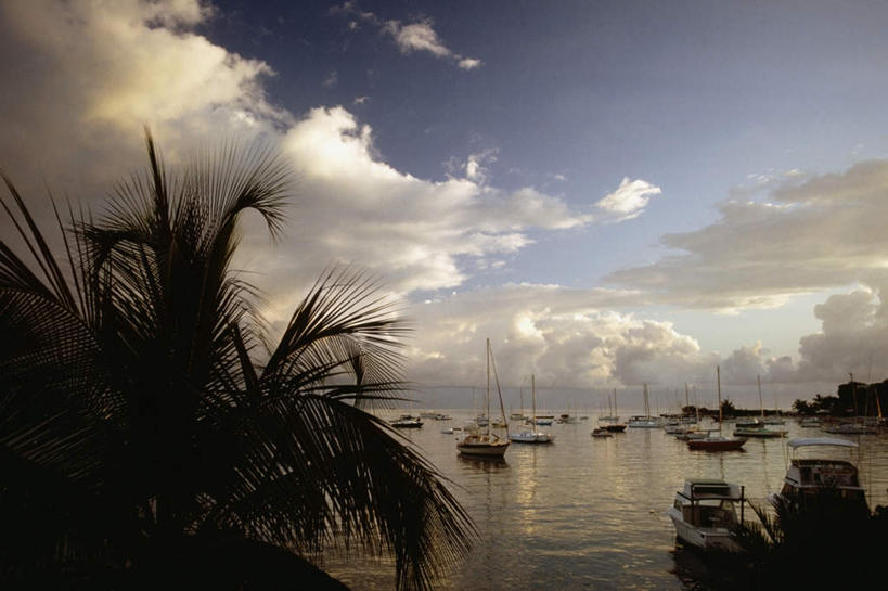 皮划艇,无人,横图,室外,白天,正面,旅游,度假,海浪,海洋,美景,植物,船,棕榈树,叶子,加勒比海,许多,阴影,光线,影子,景观,浪花,云,云朵,绿叶,背光,云彩,娱乐,树,树木,蓝色,绿色,白云,蓝天,天空,阳光,自然,海水,交通工具,天,享受,休闲,嫩叶,景色,南美,放松,生长,晴朗,成长,南美洲,拉丁美洲,自然风光,载具,美洲,逆光,海景,棕榈叶,维京群岛,亚美利加洲,南亚美利加洲,处女群岛,美属处女群岛,美属维尔京群岛,维尔京群岛,美属维京群岛,圣克罗伊岛,叶,叶片,大海,风浪,海,海水的波动,近岸浪,涌浪,晴空,彩图