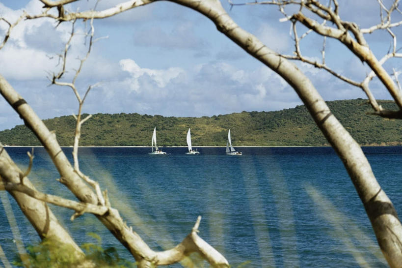 帆船,无人,横图,室外,白天,正面,旅游,度假,海浪,海洋,美景,山,山脉,树林,植物,船,加勒比海,一排,阴影,整齐,光线,影子,景观,浪花,山峰,云,云朵,枝条,山峦,云彩,娱乐,树,树木,树枝,排列,蓝色,绿色,白云,蓝天,天空,阳光,自然,海水,交通工具,群山,天,享受,休闲,景色,南美,放松,生长,晴朗,成长,南美洲,拉丁美洲,队列,自然风光,载具,美洲,三艘,海景,维京群岛,亚美利加洲,南亚美利加洲,处女群岛,美属处女群岛,美属维尔京群岛,维尔京群岛,虬枝,枝杈,美属维京群岛,圣克罗伊岛,大海,风浪,海,海水的波动,近岸浪,涌浪,晴空,彩图