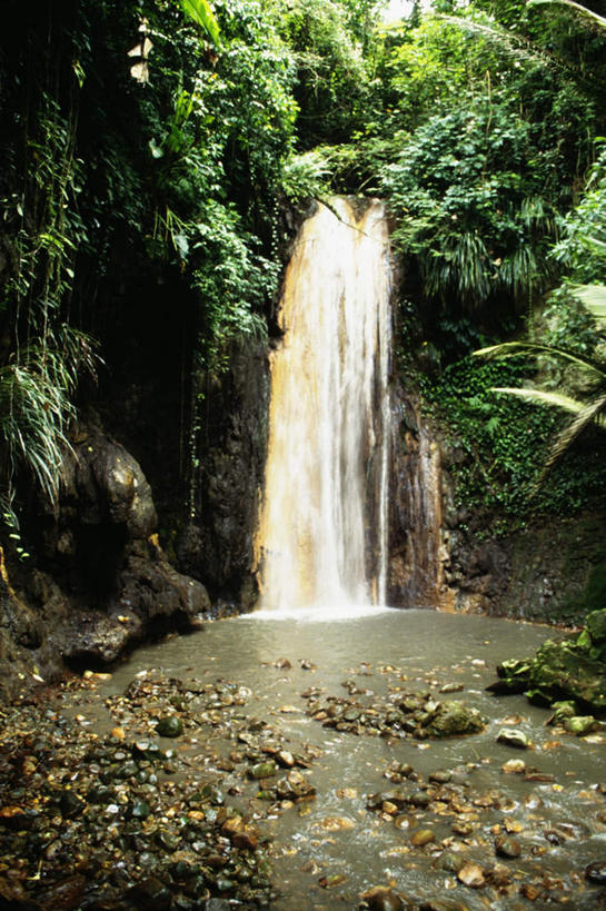 无人,竖图,室外,白天,正面,旅游,度假,美景,瀑布,树林,水,植物,加勒比海,圣卢西亚,飞溅,溅,液体,景观,水滴,娱乐,水珠,树,树木,绿色,自然,享受,休闲,景色,放松,生长,成长,北美,北美洲,喷洒,自然风光,美洲,北亚美利加洲,亚美利加洲,跌水,彩图
