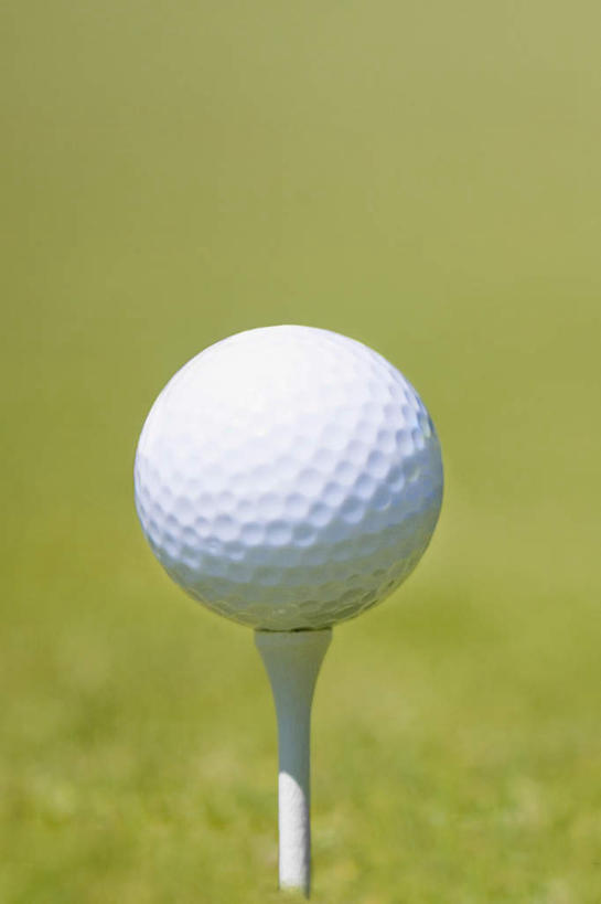 无人,竖图,室外,特写,白天,正面,草地,草坪,美景,植物,阴影,朦胧,模糊,光线,木制,高尔夫,高尔夫球,影子,景观,球座,草,绿色,阳光,自然,木制品,景色,支撑,自然风光,高尔夫运动,高尔夫球具,支持,彩图