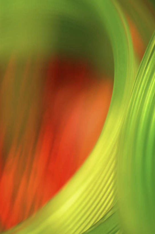 无人,竖图,彩色,室内,特写,白天,正面,游戏,玩具,阴影,反射,螺旋,线条,影子,圈,漩涡,玩,娱乐,休闲,益智,拉伸,活动,变形,发泄,消遣,智力,想象,彩虹圈,宣泄,伸缩,弹力,玩耍,嬉戏,彩图