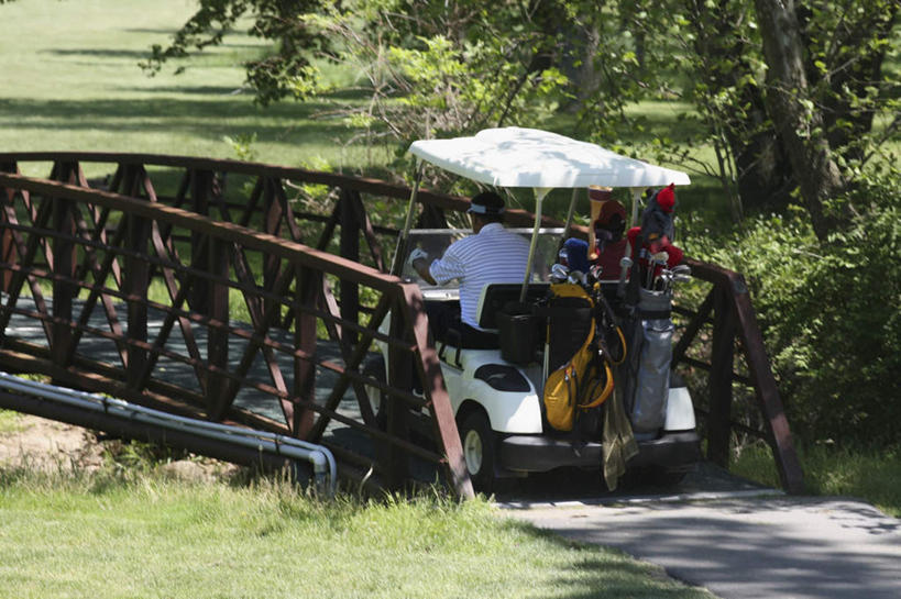 西方人,一个人,坐,横图,室外,白天,草地,草坪,植物,道路,路,欧洲,欧洲人,仅一个男性,仅一个人,仅一个中年男性,阴影,服装,光线,木板,影子,小路,桥,木桥,交通,休闲装,栈桥,草,树,树木,背面,衣服,绿色,阳光,自然,交通工具,驾驶,行驶,休闲,休闲服,服饰,生长,成长,人行桥,木板桥,操纵,控制,载具,高尔夫车,操控,高尔夫球车,高尔夫观光车,高尔夫用品,把持,男人,男性,中年男性,白种人,坐着,彩图,全身