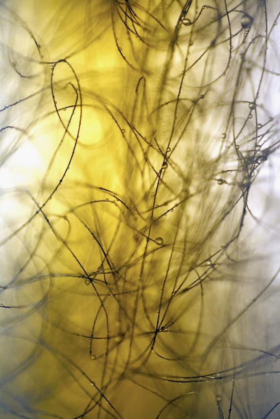 无人,竖图,室内,特写,白天,正面,阴影,环绕,缠绕,反射,线条,影子,庞大,复杂,纠缠,想象,繁杂,彩图