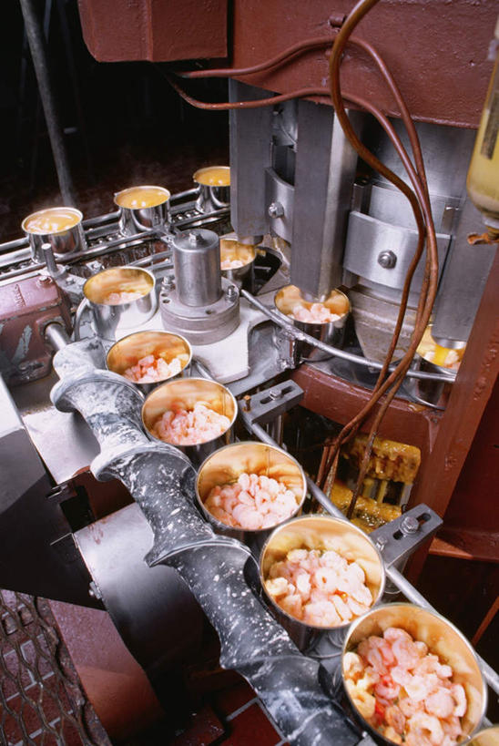 海鲜,无人,工厂,搬运,竖图,俯视,室内,白天,一堆,一排,堆叠,堆积,整齐,传输,罐头,罐子,水产,海洋生物,排列,运输,堆,传送带,便利,传送,罐头食品,队列,载具,水生动物,海产品,水生物,传输带,海底动物,方便,彩图,高角度拍摄,工地,制造厂