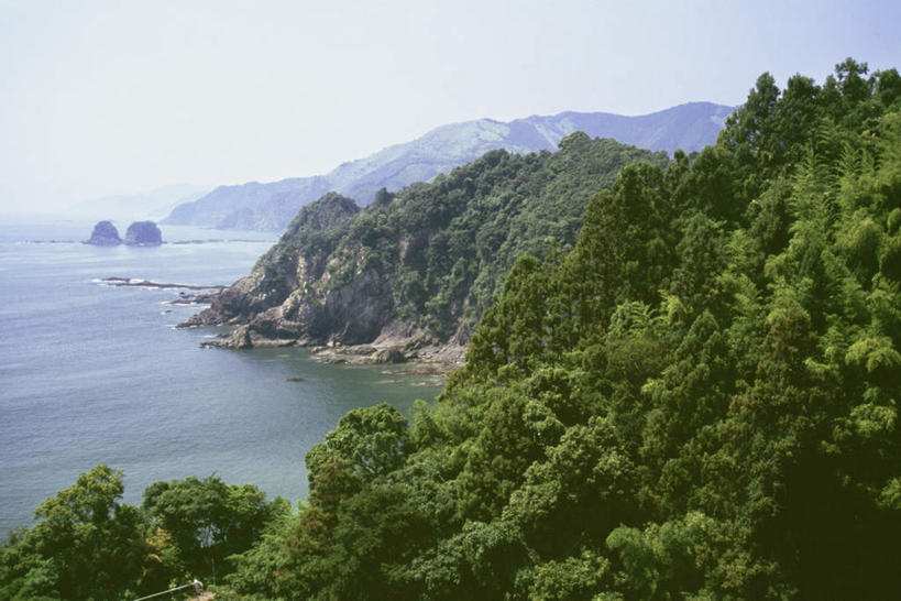 无人,横图,俯视,室外,白天,旅游,度假,海浪,海洋,美景,森林,山,山脉,树林,植物,日本,亚洲,阴影,光线,影子,景观,浪花,山峰,山峦,娱乐,树,树木,蓝色,绿色,蓝天,天空,阳光,自然,海水,群山,天,享受,休闲,景色,放松,生长,晴朗,成长,自然风光,海景,东亚,万里无云,高知,日本国,高知县,四国地方,四国,四国岛,大海,风浪,海,海水的波动,近岸浪,涌浪,晴空,晴空万里,彩图,高角度拍摄