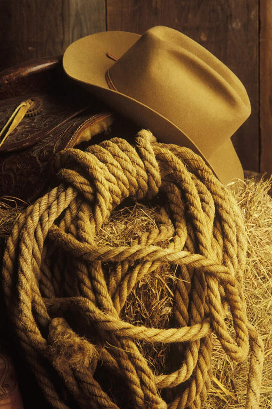 无人,农场,竖图,俯视,室外,特写,白天,畜牧业,牧场,静物,帽子,阴影,朦胧,模糊,反射,影子,绳子,牛仔帽,绳索,套索,畜牧,牧业,彩图,高角度拍摄