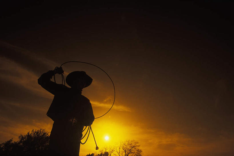 西方人,一个人,站,举,横图,室外,白天,仰视,日落,太阳,植物,帽子,欧洲,欧洲人,仅一个男性,仅一个人,握,阴影,服装,朦胧,模糊,光线,影子,晚霞,霞光,落日,背光,拿,拿着,注视,休闲装,树,树木,仅一个年轻男性,衣服,绿色,阳光,自然,黄昏,绳子,观察,看,托,站着,休闲,休闲服,牛仔帽,彩霞,握着,服饰,生长,成长,观看,绳索,察看,关注,逆光,套索,夕照,男人,男性,年轻男性,白种人,夕阳,举起,举手,举着,向上举,向上伸,向上托,站立,半身,彩图,低角度拍摄,斜阳